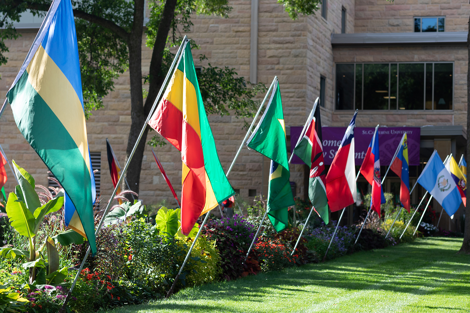 International flags symbolizing connections to international communities