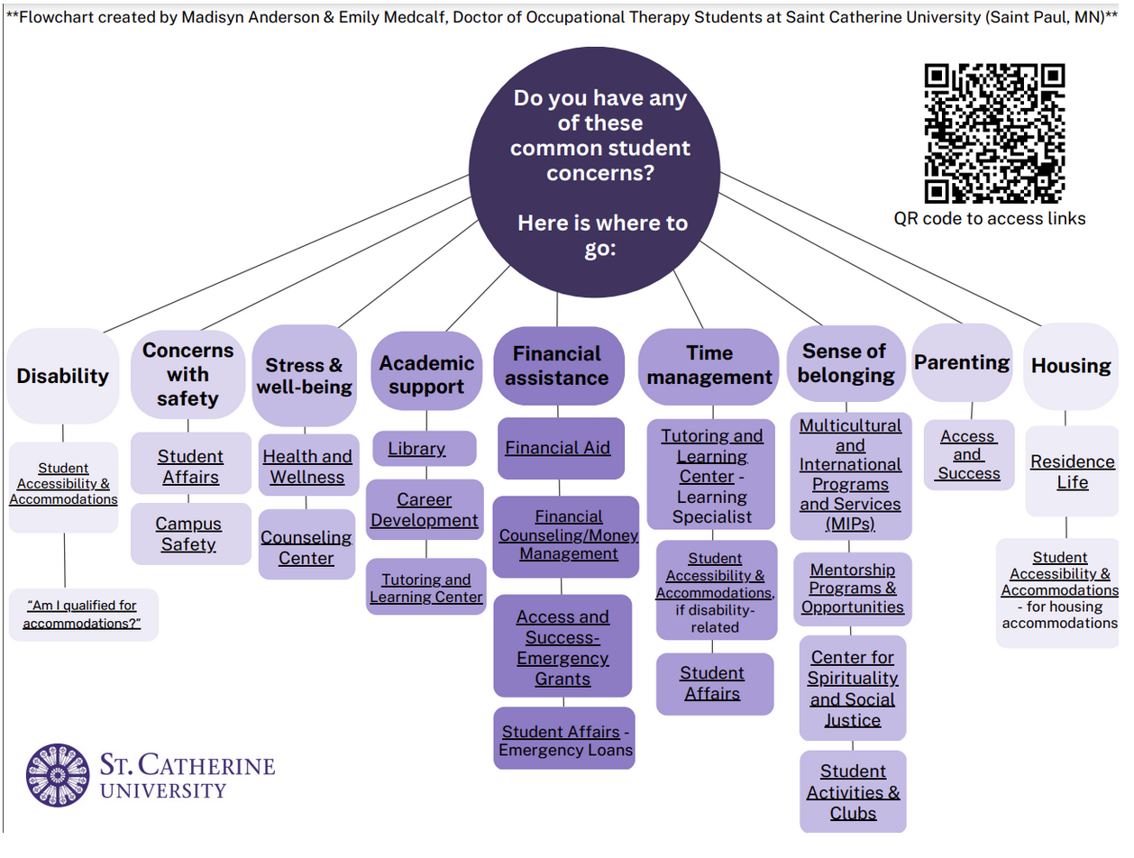 Student Support Services Flowchart 
