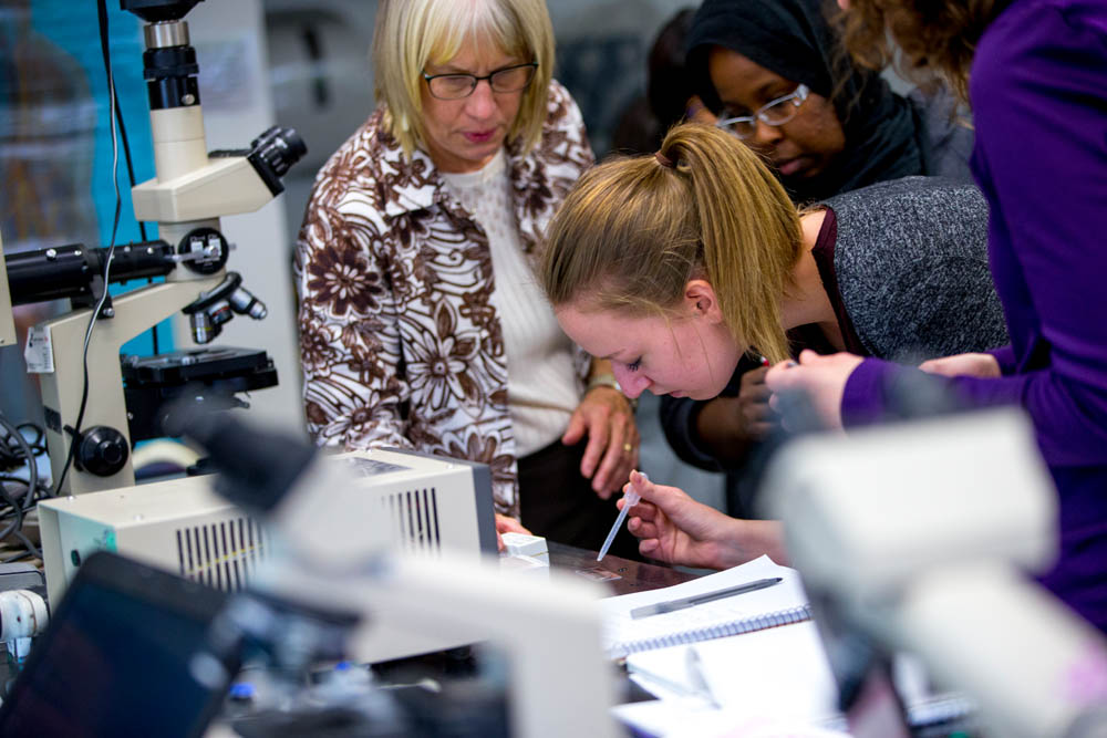 Student using eyedropper to populate microscope slide while professor and other students look on