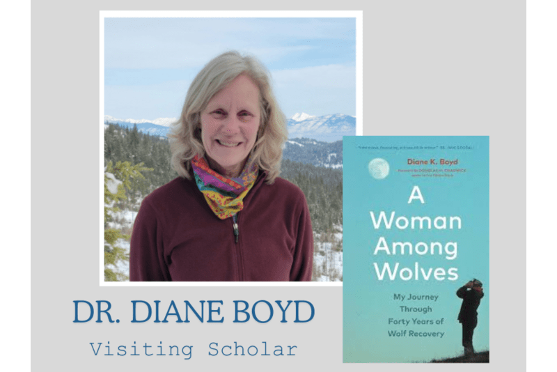 dr. diane boyd, and cover of her book a woman among wolves
