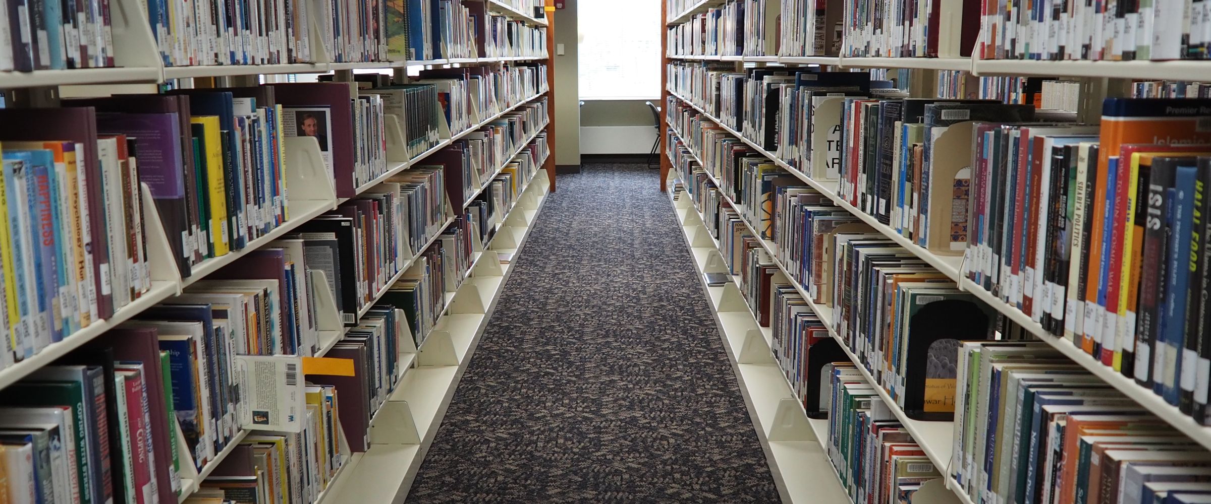 Two library stacks several feet apart; both are filled with books.