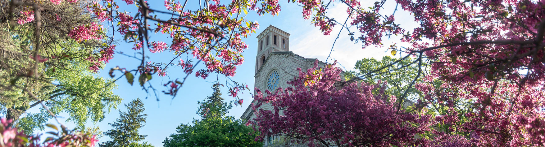Photo of Our Lady of Victory chapel through a curtain of pink blossoming branches.