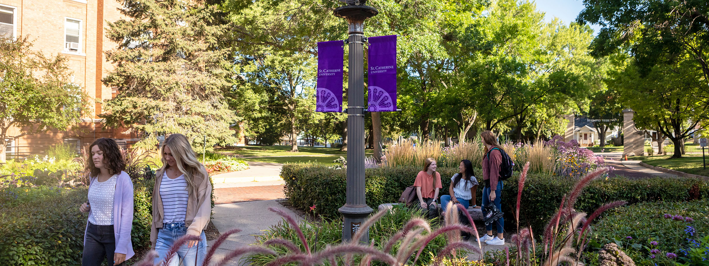 Wide-shot of students hanging out and commuting on campus