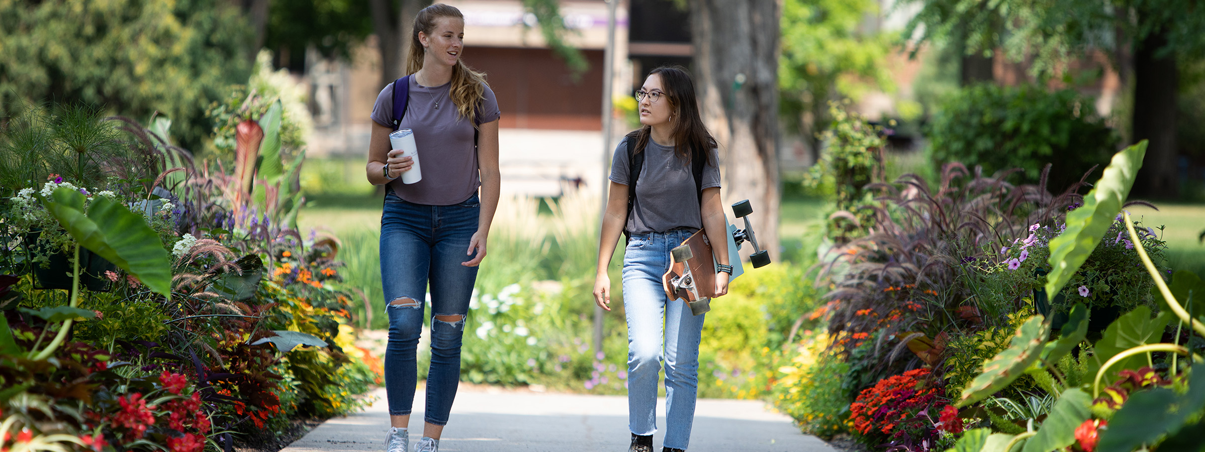 photo of undergrad students walking and talking on campus