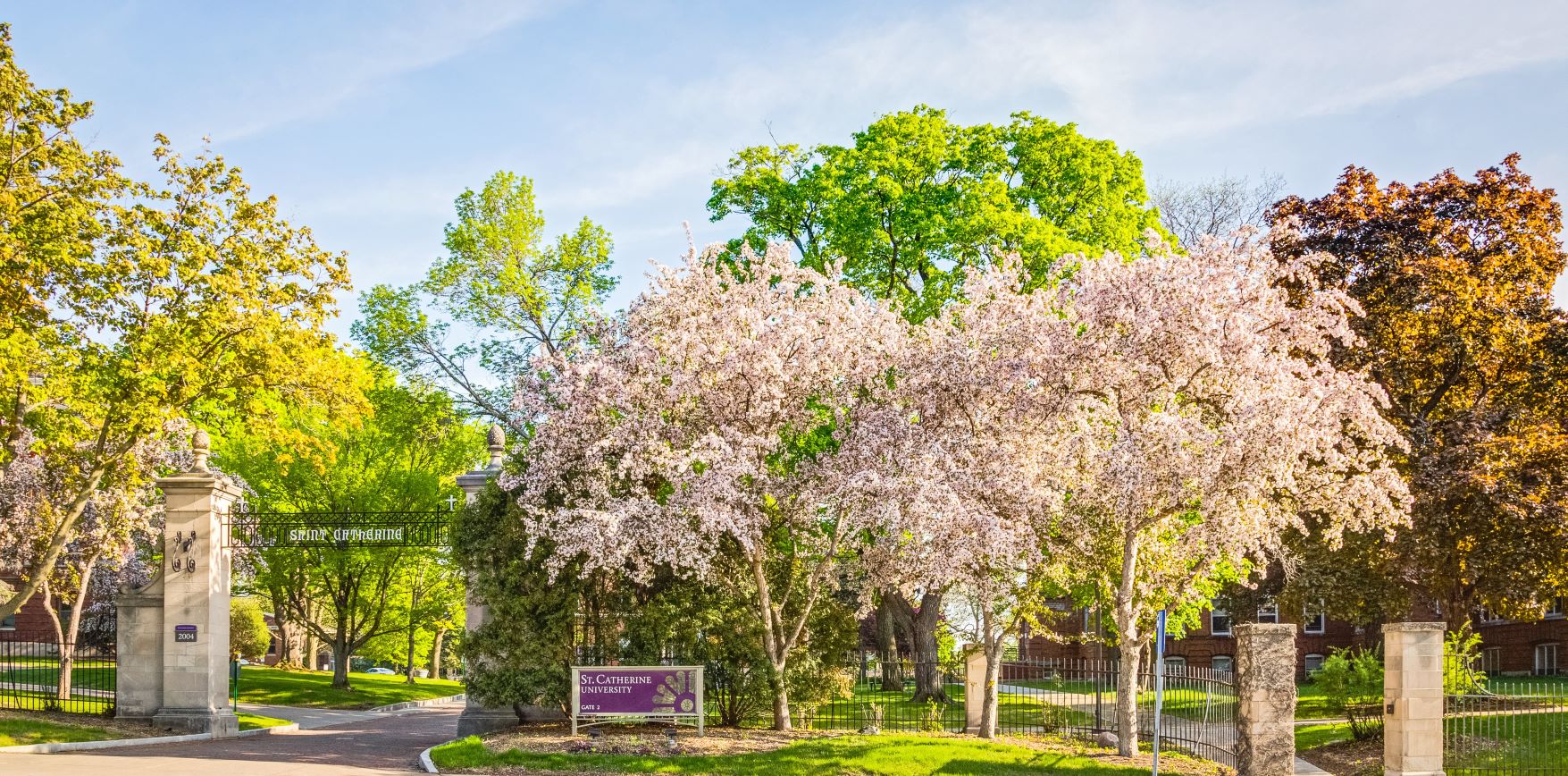 Campus springtime image