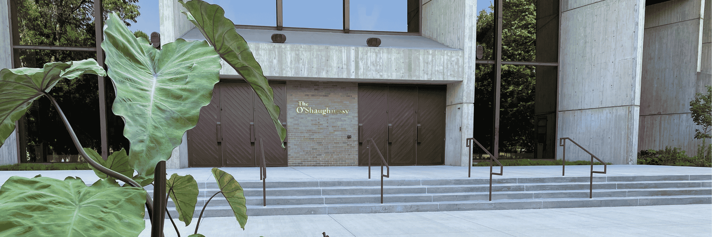 O'Shaughnessy patio