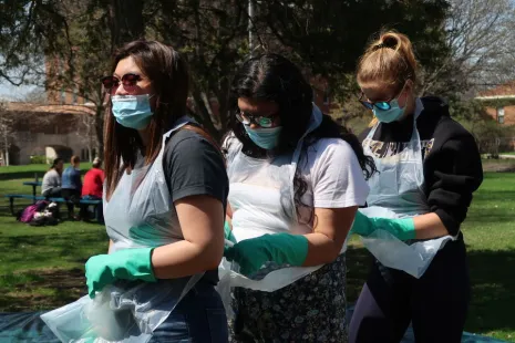 Trash sort 2019