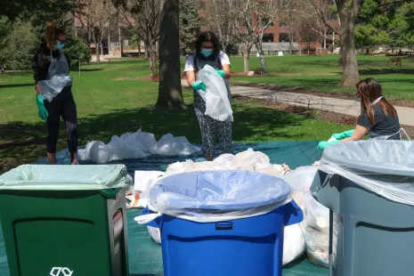 Trash sort 2019