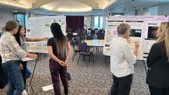 A group of people look at posters of research. 