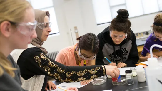 Chemistry students testing in group