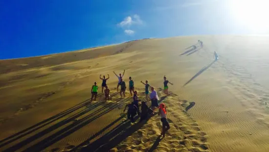 Students exploring a sand dune 