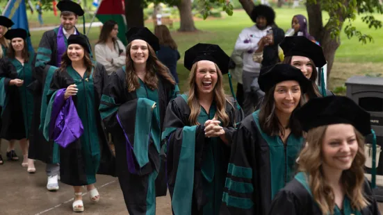 A group of graduates in doctoral caps and gowns smile as they walk outside.