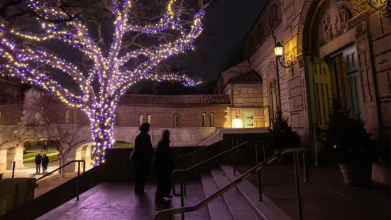 Purple lights adorn a tree outside the Chapel at night.