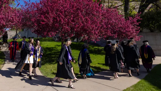 Graduates walk across campus in front of a pink flowering tree.
