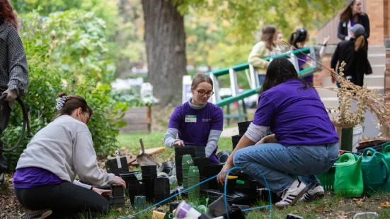 Volunteers work in a garden. 