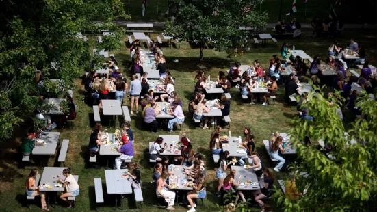 An overhead shot of people sitting at dozens of picnic tables on the lawn.