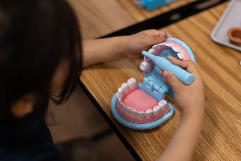 A student plays with an oral health educational tool