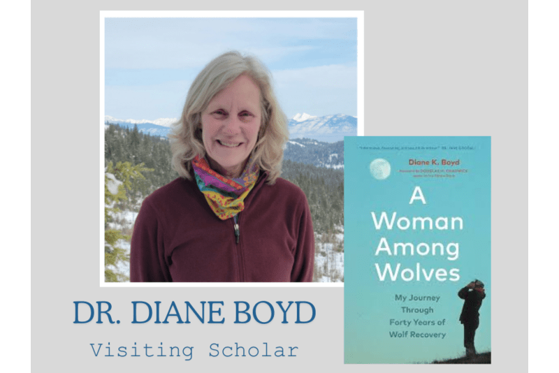 dr. diane boyd, and cover of her book a woman among wolves