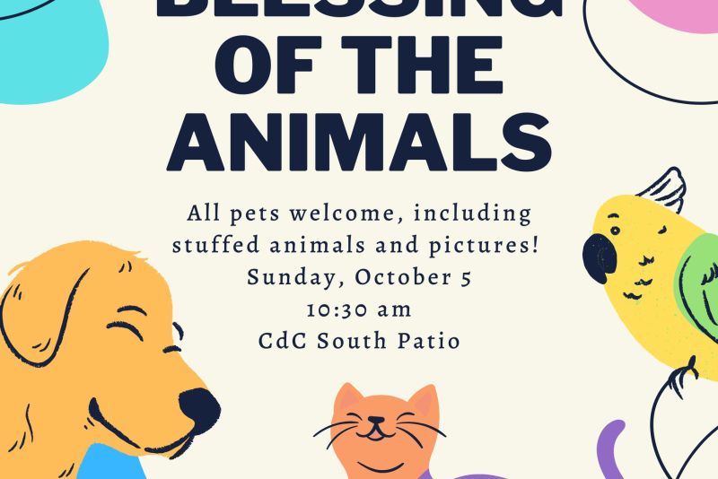 Flyer for St. Catherine University’s “Blessing of the Animals” event hosted by the Center for Spirituality and Social Justice. Includes colorful illustrations of a dog, cat, bird, fish, teddy bear, and balloons. Text reads: “All pets welcome, including stuffed animals and pictures! Sunday, October 5, 10:30 am, CdC South Patio. Contact spiritandjustice@stkate.edu  for more information.”