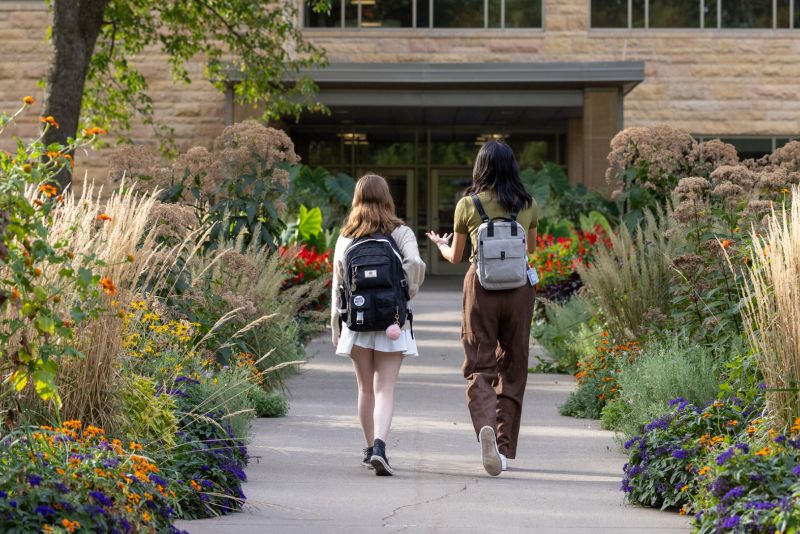 Students walk down a campus sidewalk lined with greenery.
