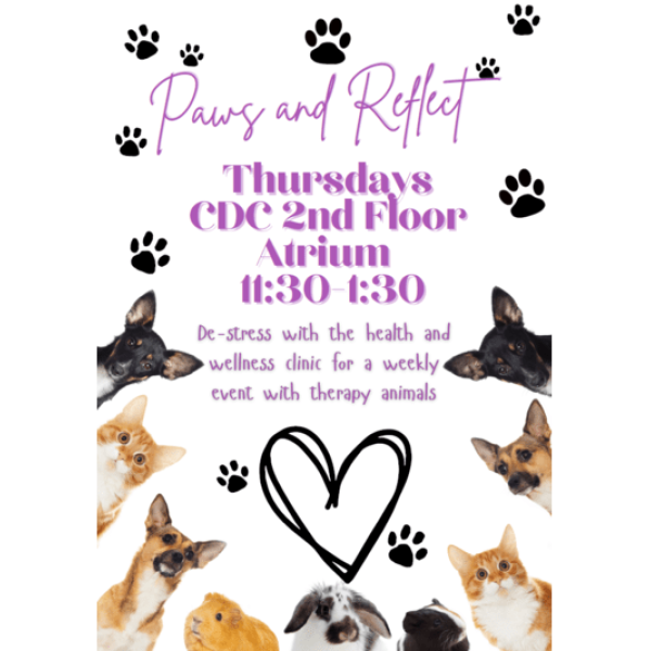 Event Calendar St Catherine University