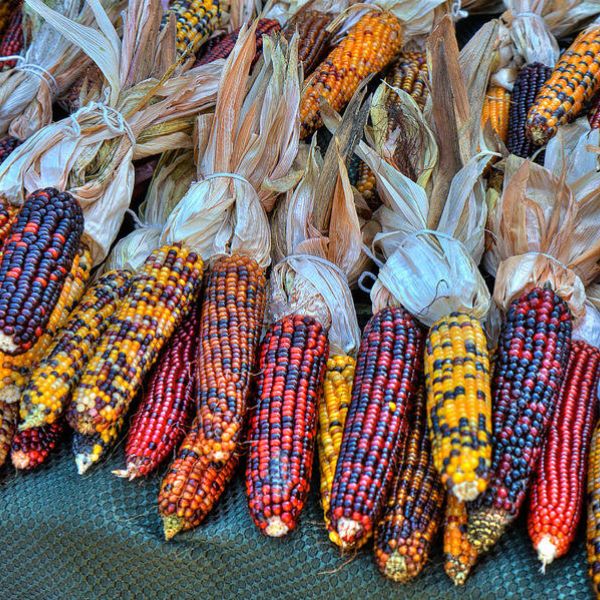 Event Calendar St Catherine University