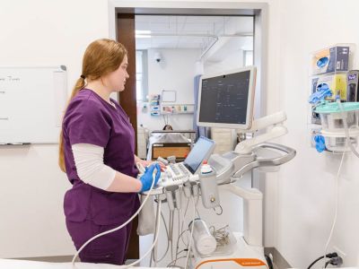 Sonography student working in a simulation lab.