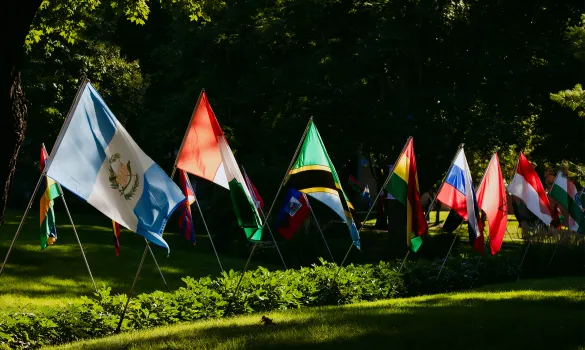 The flags of multiple countries line a campus sidewalk.