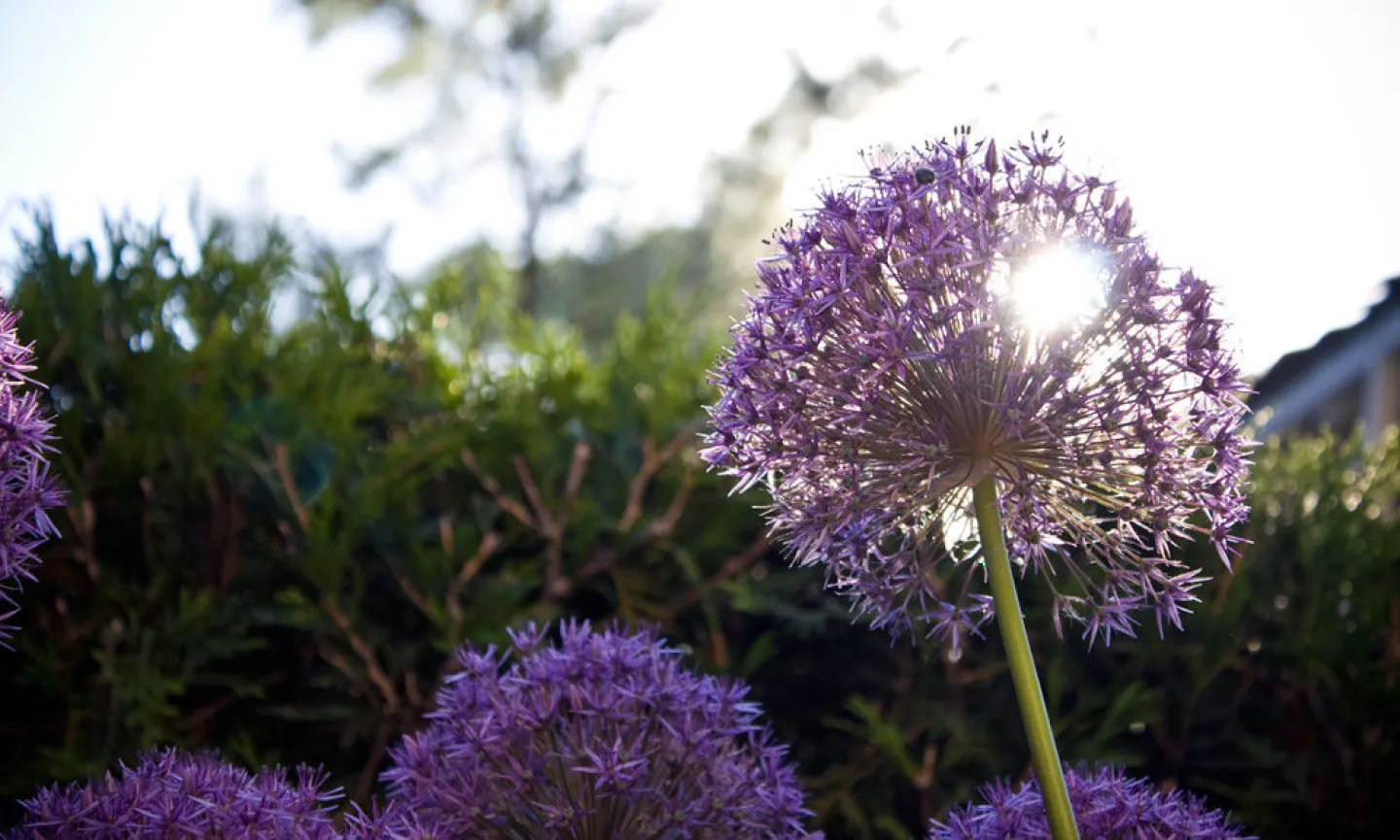 Photo by Catherine Tsen '11