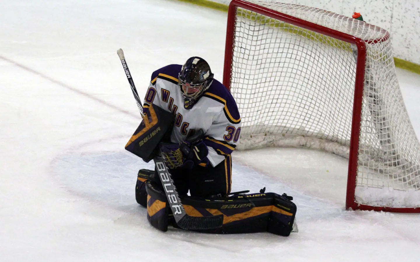 Kristen Pechacek '18