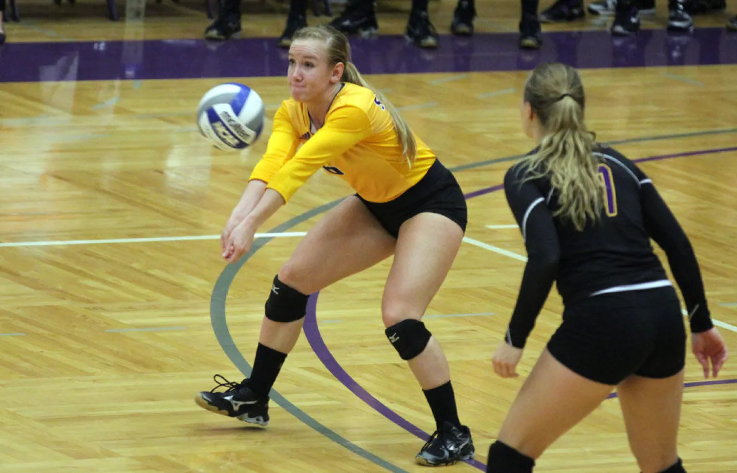 Shanee Herd '16