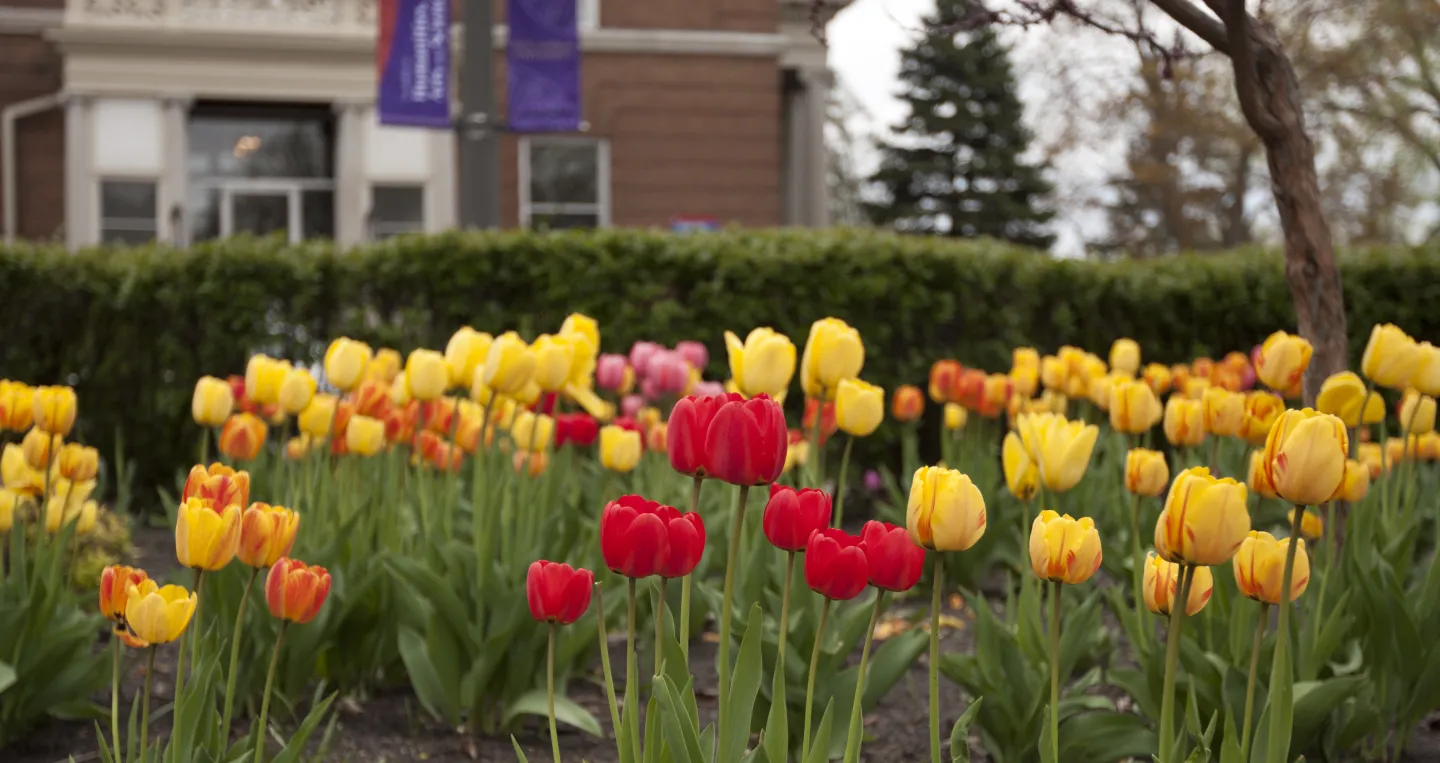 Flowers in front of Derham