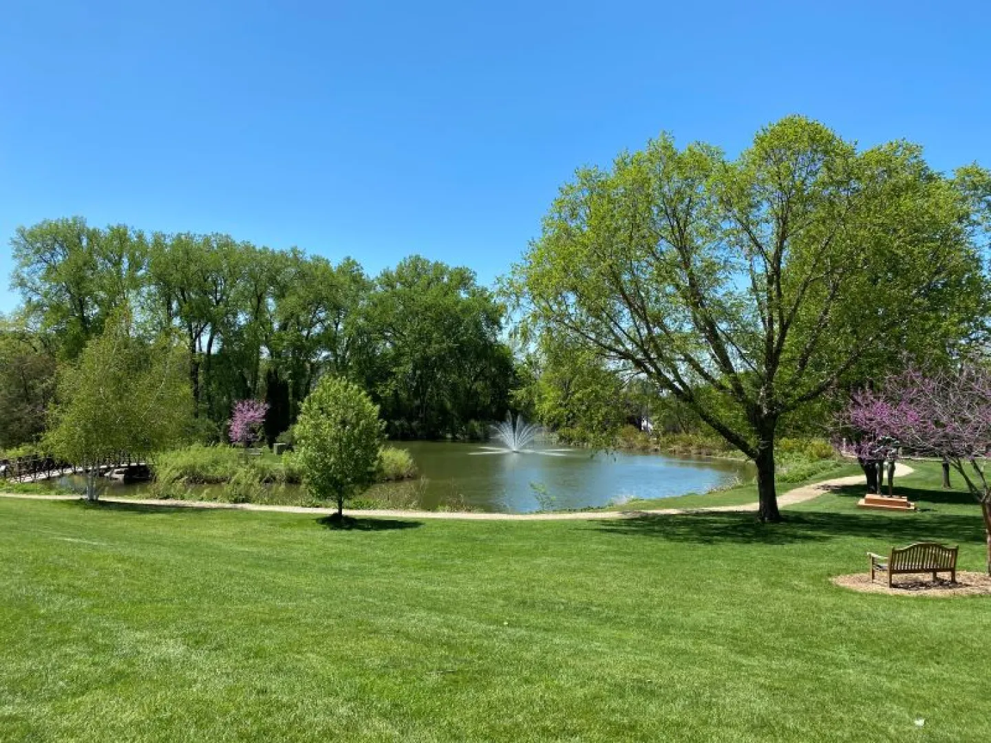 Image of Dew Drop Pond