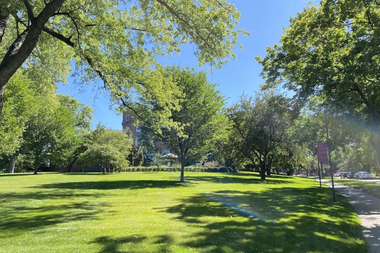 Sun shining on St. Kate's campus quad.