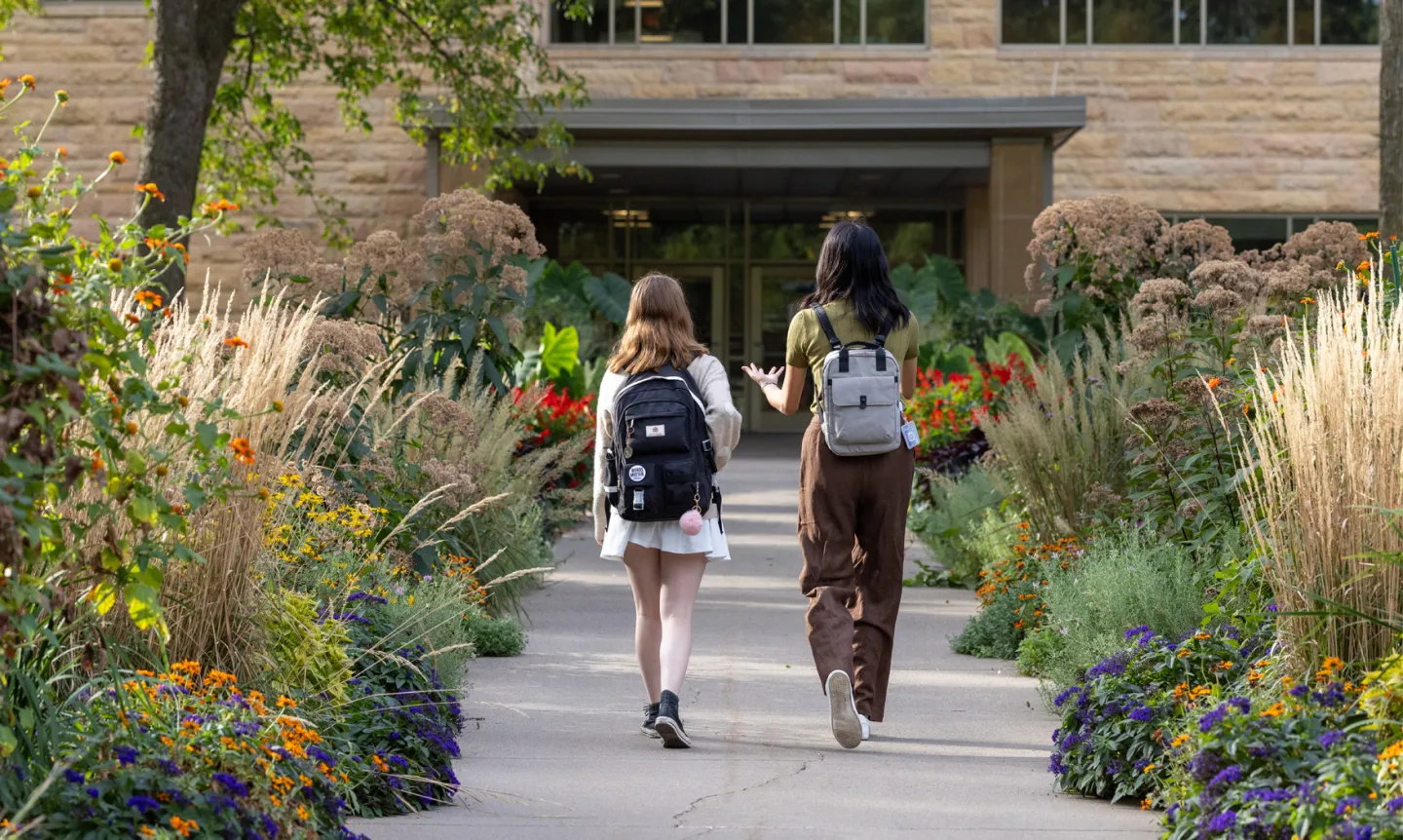Students walk down a campus sidewalk lined with greenery.